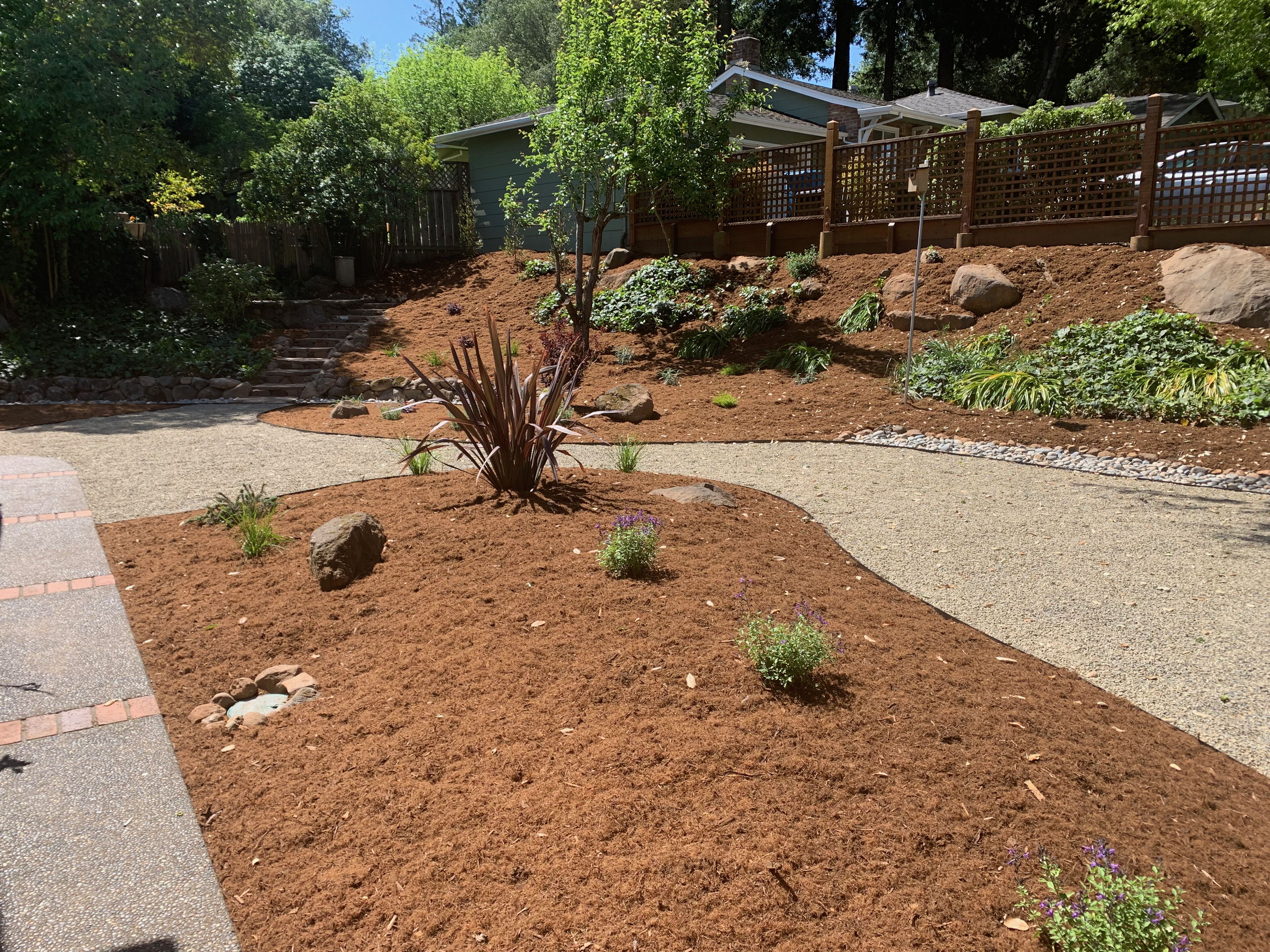Top 10 Best Lawn Landscaping in Sebastopol, CA | Angi