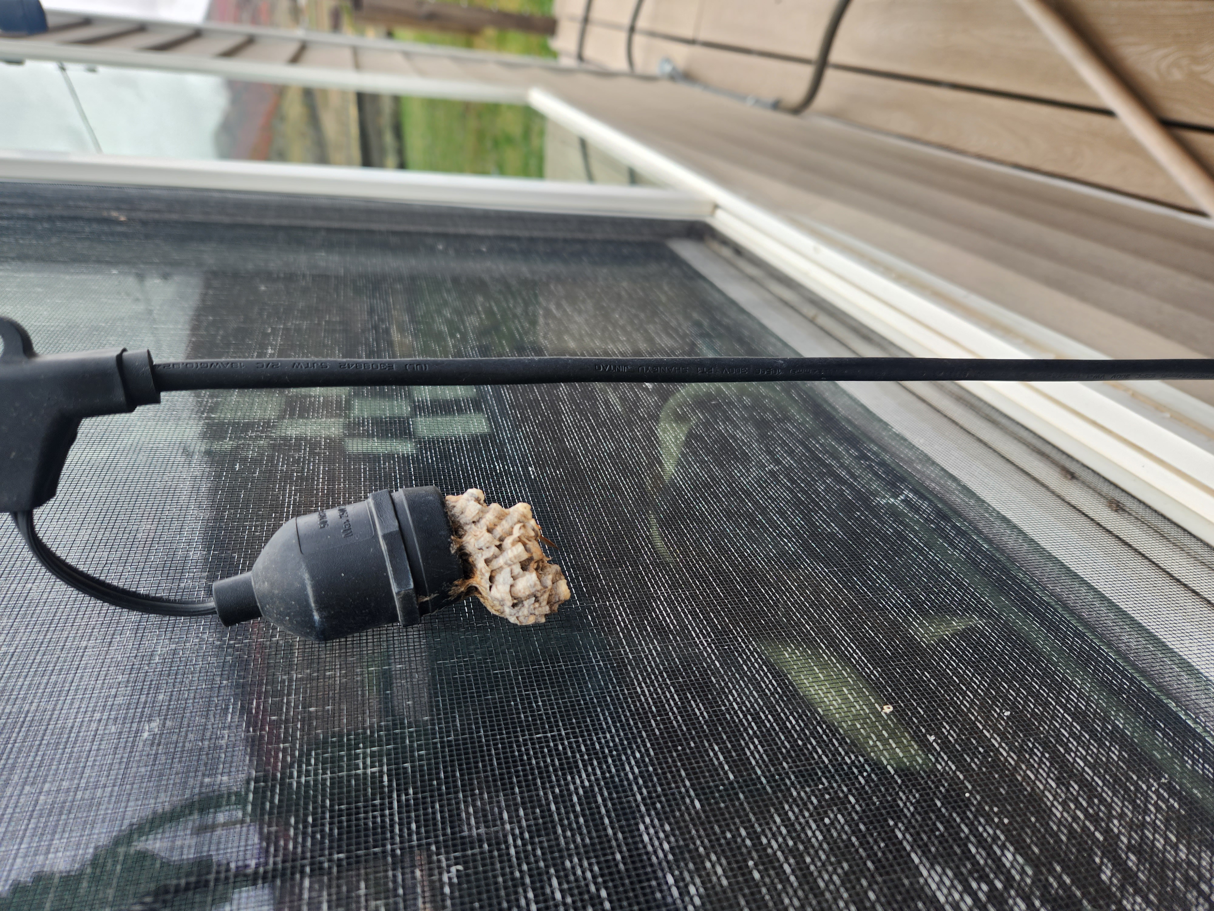 White Knight Pest Control Inc Reviews - Buda, TX | Angi