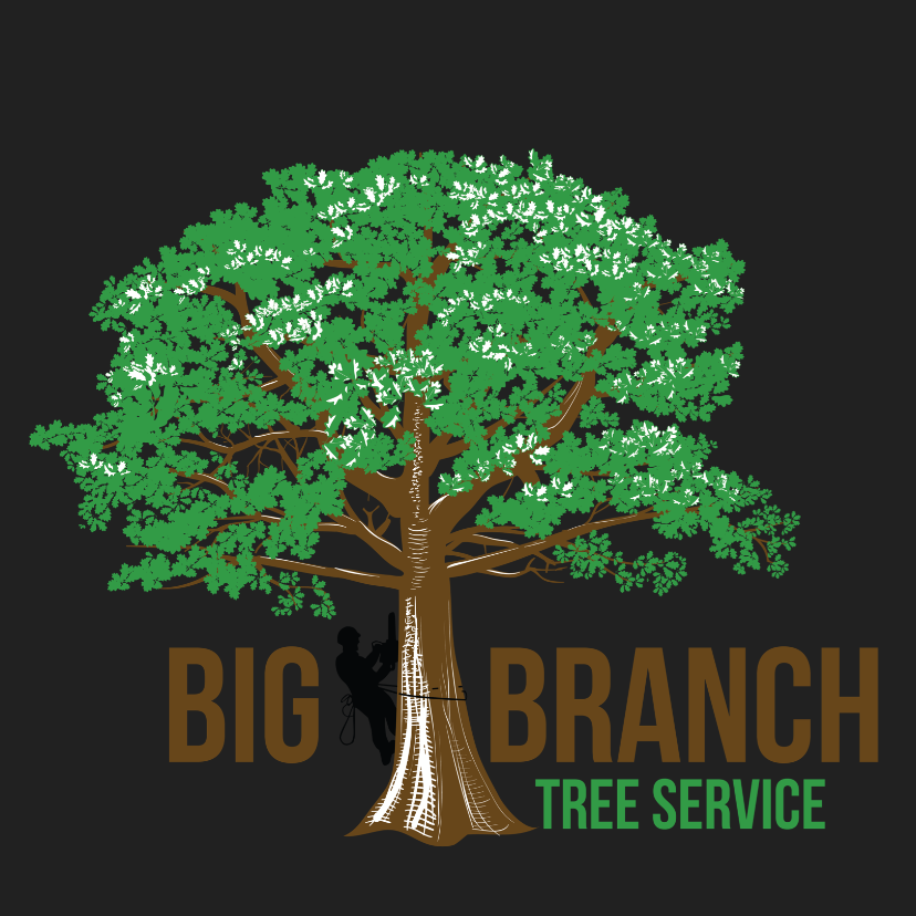 Big Branch Tree Service Reviews Middleburg, FL Angie's List