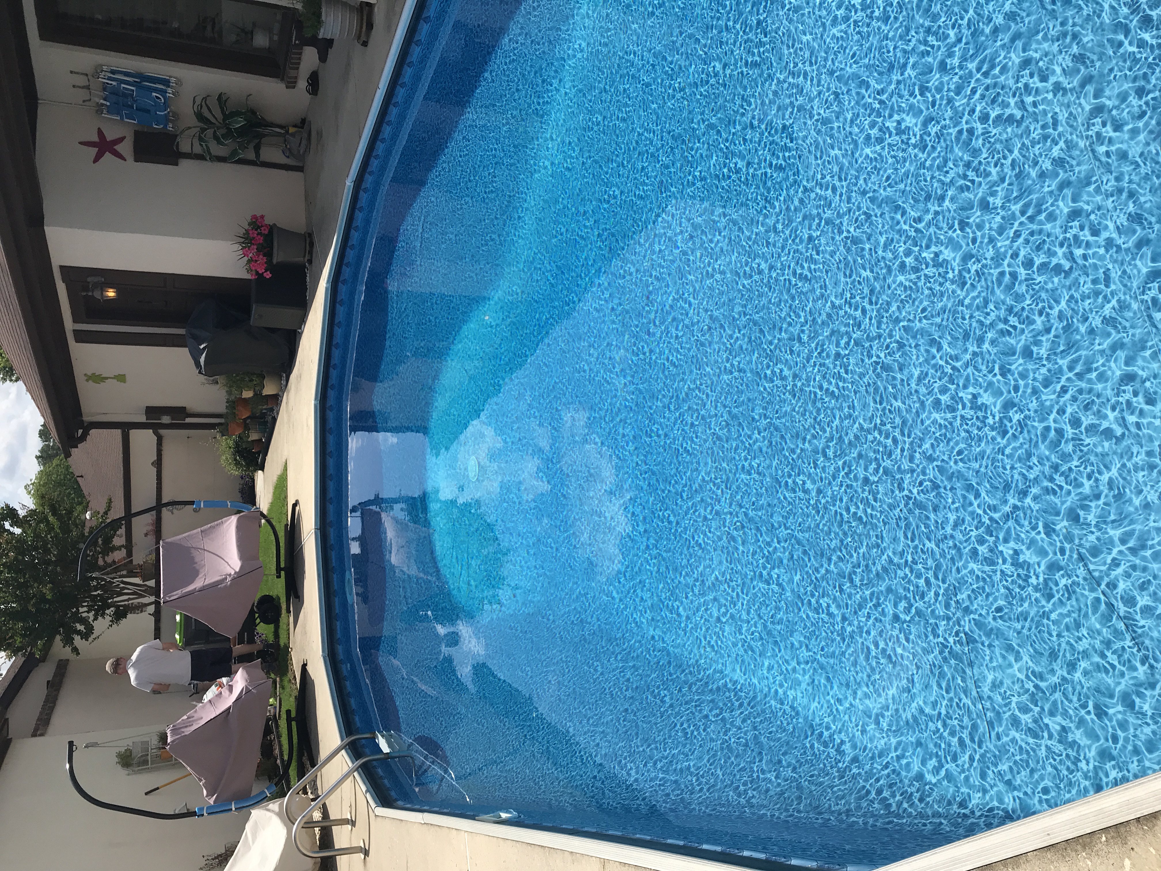 top-10-best-pool-cleaning-in-wagener-sc-angi